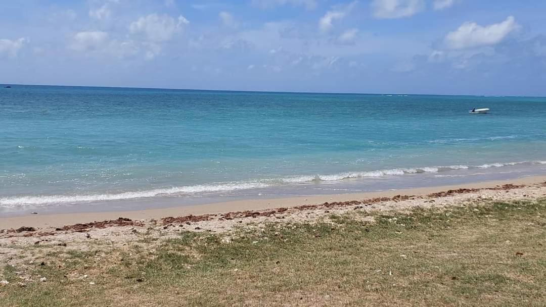 Ohana Guest House Port Mathurin Exterior foto